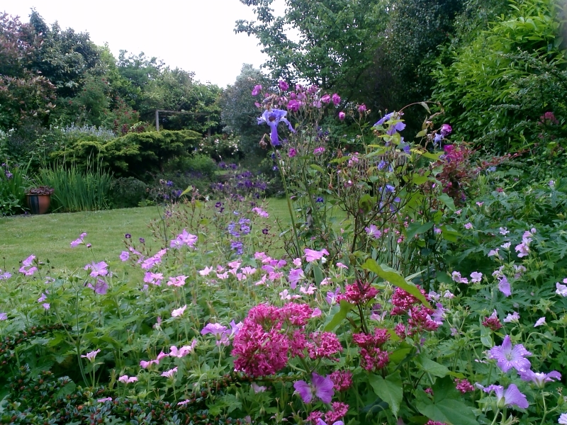 Forest Hill Garden Group